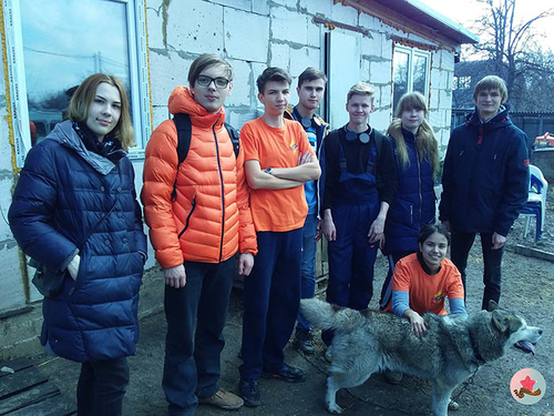 Приют для животных