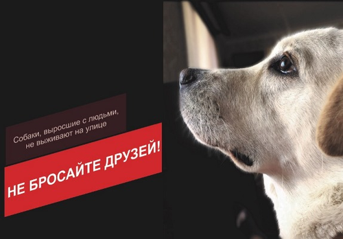 Конкурс рекламы